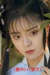 亲王宠妾的谋反攻略TXT