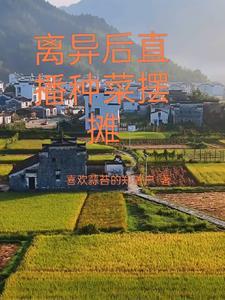 还魂草在线阅读