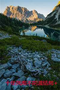 夫人说这婚迟早要离txt