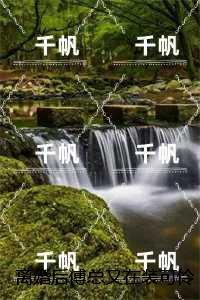 空姐背后网剧免费播放