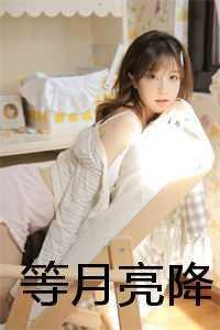 恋爱物语2免费