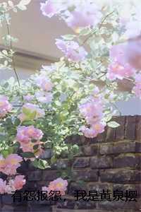 隐婚老公宠翻天全文免费阅读全文